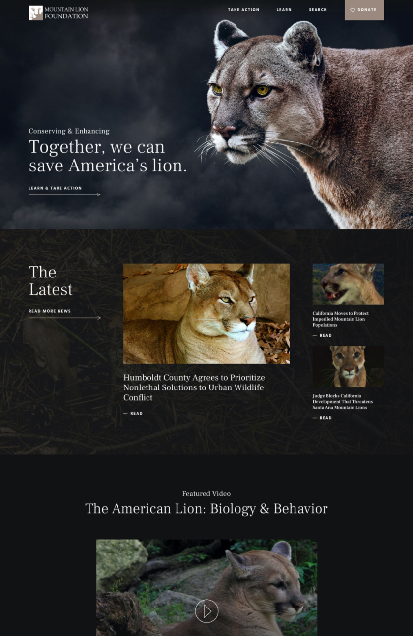 Mountain Lion Foundation